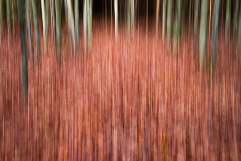 Platz 6 Sieglinde Senser